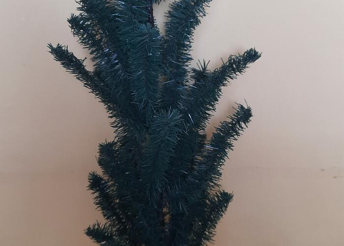 Grajewo ogłoszenia: Sprzedam choinkę o wysokości 80cm.